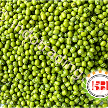 KACANG HIJAU - DISTRIBUTOR KACANG HIJAU - SUPPLIER KACANG HIJAU