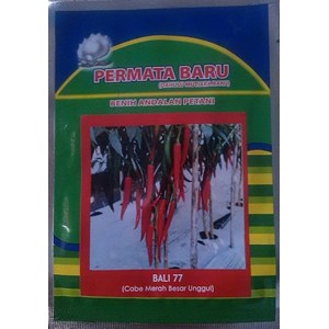 Benih Cabe Merah Besar BALI-77