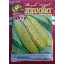 Benih jagung manis 