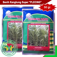 Benih kangkung 