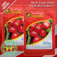 Benih Tomat NEW MUTIARA F1 5 gr.