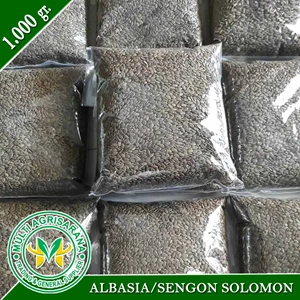 Benih Bibit Sengon Solomon 1 kg.