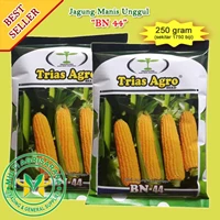 Benih Jagung Manis BN 44 250 gr.