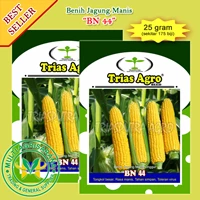 Benih Jagung Manis BN 44 25 gr.