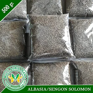 Bibit Bibit Benih Sengon Solomon 500 gram.