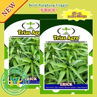  Benih Bibit Kangkung ERICK 50 gr.