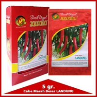 Big Red Chili Seed Varieties LANDUNG 5 Gr