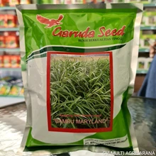 Benih Kangkung BAMBU MARYLAND 500 gr