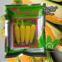 Sweet corn seeds BARUNA 250 Gr