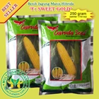 Sweet Corn Seeds 