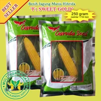 Benih Jagung Manis F1 