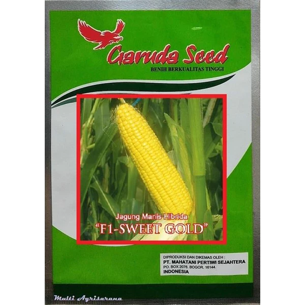 Sweet Corn Seeds "SWEET GOLD"