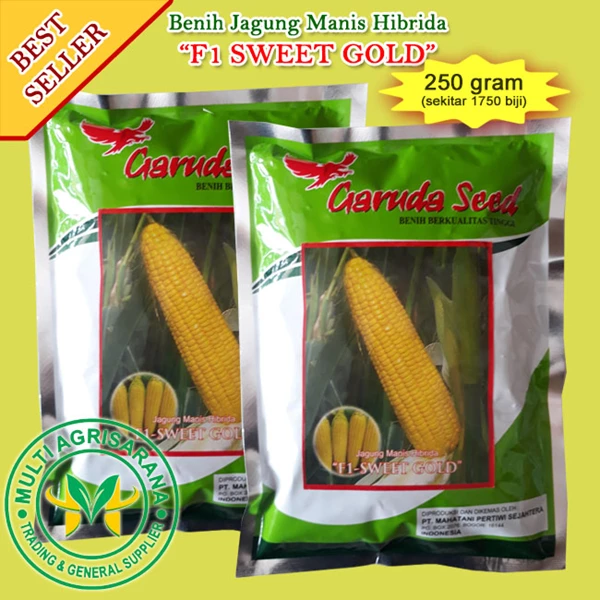 Sweet Corn Seeds "SWEET GOLD"