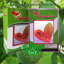 Benih Pepaya Bangkok 