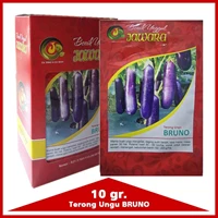 Purple Eggplant Seeds Bruno 10 Gr