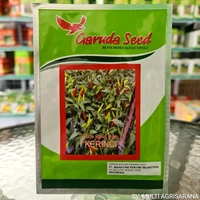 Green Seed Chili KERINCI 10 Gr