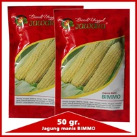 Benih jagung manis BIMMO 50 gr.