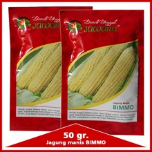 Benih jagung manis BIMMO 50 gr.