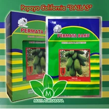 Benih Pepaya California 