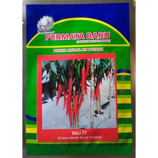 Big Red Chilli seeds for BALI-77