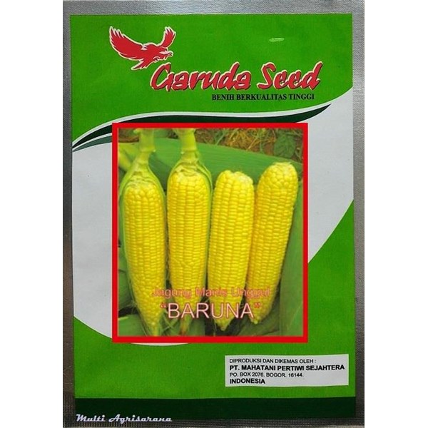 seed corn