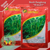 Benih Kangkung 