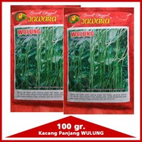 Benih Kacang panjang WULUNG 100 gr.