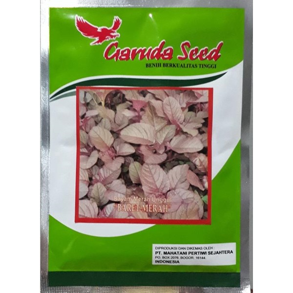 Red Spinach seed "RED BERET" 50 grams