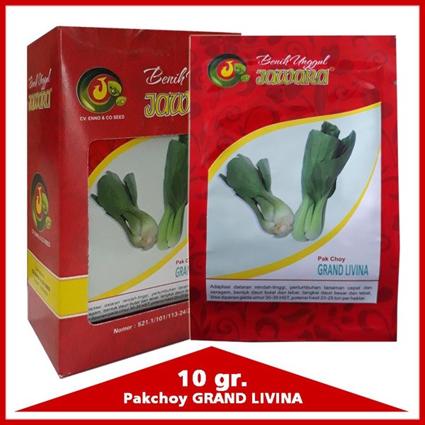 Seed Pakchoy GRAND LIVINA