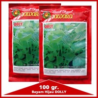 Benih bayam hijau DOLLY 100 gr.