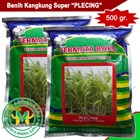 Benih kangkung 