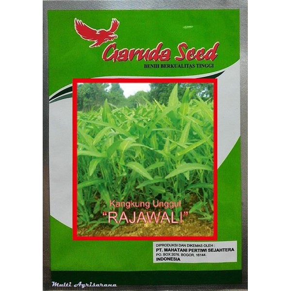 Benih kangkung "RAJAWALI" 50 gr.