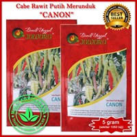 Benih Cabe rawit putih  CANON  5 gr.