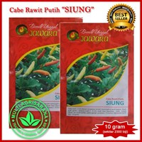 Benih Cabe rawit putih  SIUNG 10 gr.