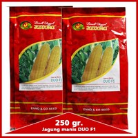 Benih Jagung Manis DUO F1 250 gr.