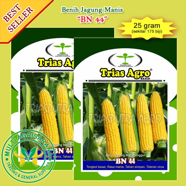 Benih Jagung Manis BN 44 25 gr.