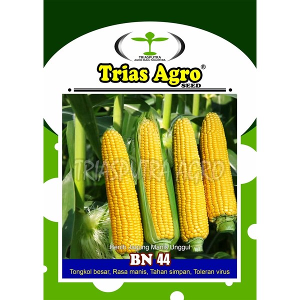 Benih Jagung Manis BN 44 25 gr.