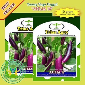 Benih Bibit Terong Ungu AULIA 15