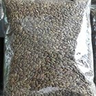 Bibit Benih Sengon Solomon 500 gram. 3