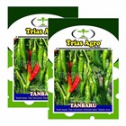 Green Duckling Chilli Seed TANBARU 5 gr. 1