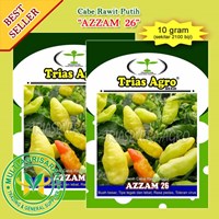 Benih bibit cabe rawit putih AZZAM 26  kemasan 10 gr.