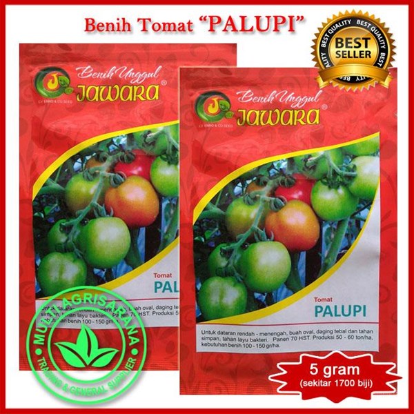 Tomato seeds "PALUPI"