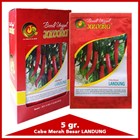 Big Red Chili Seed Varieties LANDUNG 1