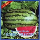 Hybrid Watermelon Seeds 