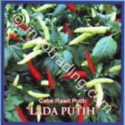 Chilli Seeds Rawit White 