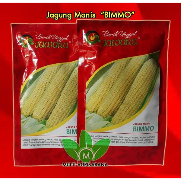 Sweet Corn Seeds "BIMMO"