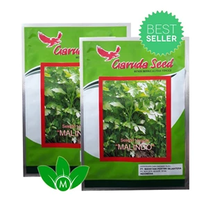 SEED CELERY MALINDO