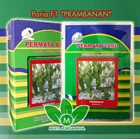 F-1 Melon seed PRAMBANAN 1