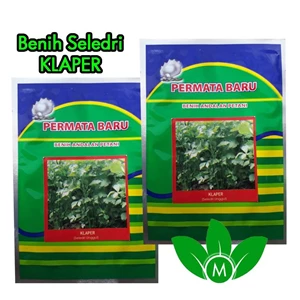 Celery Seed KLAPER