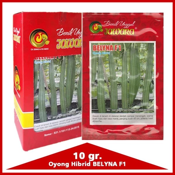 seed Oyong BELYNA F1